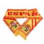 bufanda-espana-14x128-01