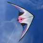 stunt_kite_cometa_00