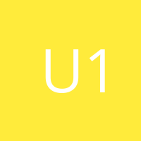 Usuario 12