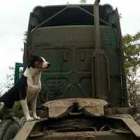 Eustaquio Turrubiartes Perez