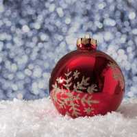 Jorge  Mateus Mateus