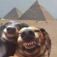 José Luis Marcos Macia