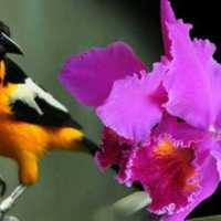 Gustavo Villaueva Gonzalez