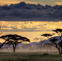 iGNACIO RIVERO MANRIQUE DE LARA