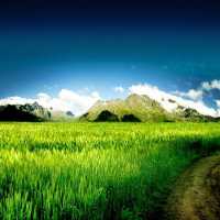 Rosa Maria Hernandez Blanco