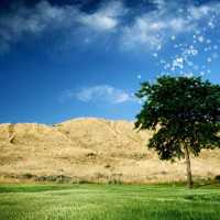 Dariel Ramirez Marimón